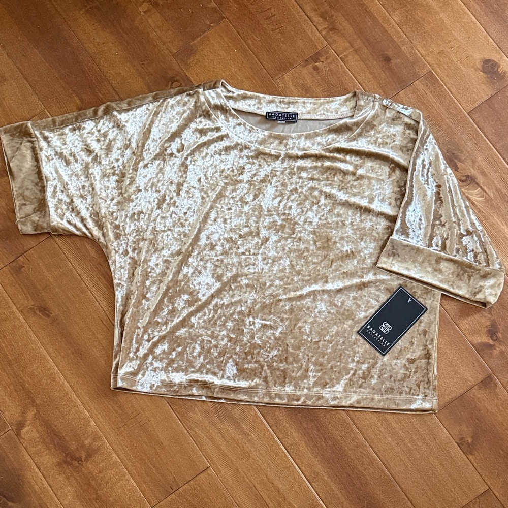 Bagatelle Velvet Short Sleeve Top in Tan